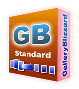 GalleryBlizzard Standard